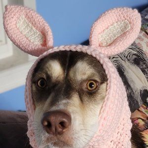 Handmade Crochet Rabbit Dog Hat